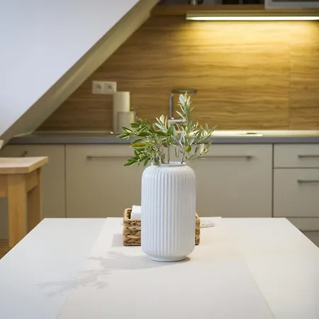 Apartment Maisonette With Terrace